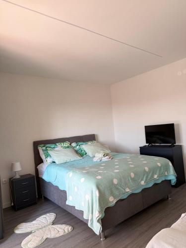 a bedroom with a bed and a television in a room at Apartman Dora in Šmrika