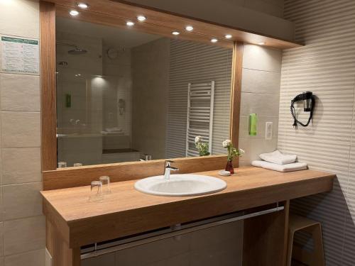 a bathroom with a sink and a large mirror at Au Relais de l'Ill in Sermersheim