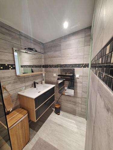 a bathroom with a sink and a mirror at L'escale du Chemin des Dames in Cerny-en-Laonnois