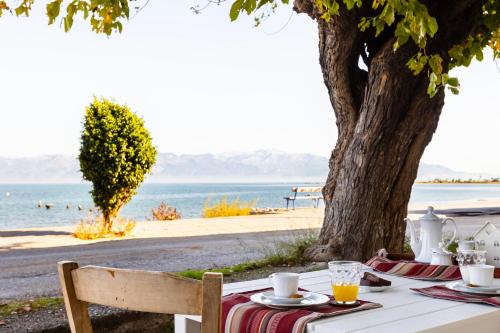 Christina House - Petalidi's Moorea Gem