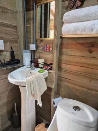 a bathroom with a white sink and a toilet at Cabañas Bambú Pérez Zeledón in San Isidro de El General