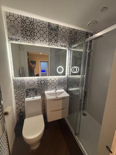 a bathroom with a toilet and a sink and a shower at 1 double bed studio with private access and parking in Plymouth