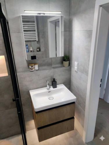 a bathroom with a sink and a mirror at Apartament Rutkiewicz in Łańcut