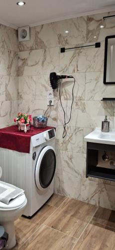 a bathroom with a washing machine and a toilet at Aegean escape in Mytilini in Mytilene