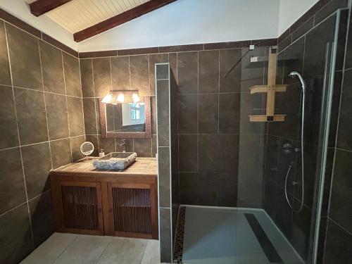 a bathroom with a shower and a sink and a mirror at Domaine Madinina Dream in Sainte-Luce
