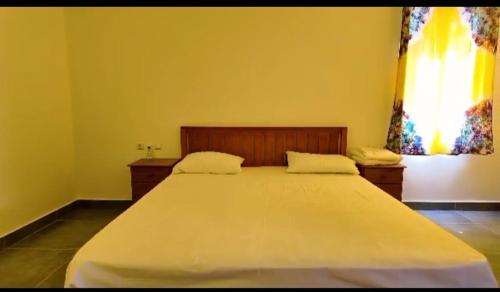 a bedroom with a large bed with yellow walls and a window at Gibbi's on the Beach in Elephant Island