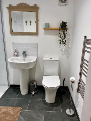 a bathroom with a toilet and a sink at The Cabin at Swelle Cottages in Poundstock