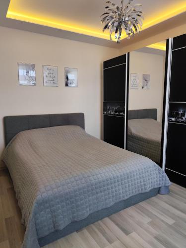 a bedroom with a large bed and a mirror at Salnas rezidence self check-in in Riga