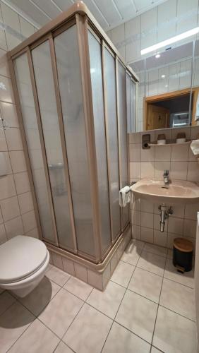 a bathroom with a shower and a toilet and a sink at Kleines Glück am Bärenstein in Gößweinstein