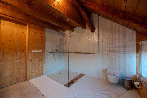 a bathroom with a glass shower and a toilet at Reichart Apartment in Lochau