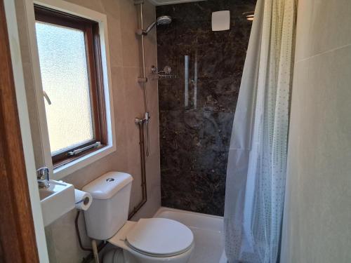 a bathroom with a toilet and a shower at Chalet Vuurvos - sfeervol chalet met omheinde tuin, midden in de bossen van Drenthe in Eext