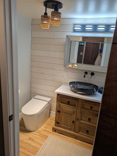 a bathroom with a sink and a toilet and a mirror at Spacious King Pull Out Suite Beamsville in Beamsville