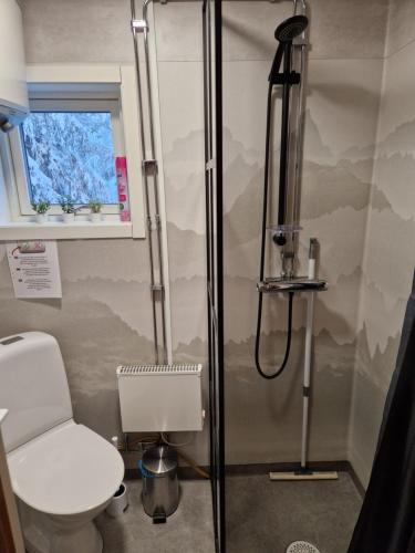 a bathroom with a shower and a toilet at Sarvasstugan in Auktsjaur