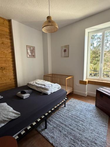 a bedroom with a bed and a rug and a window at Le Clair-Obscur in Paray-le-Monial