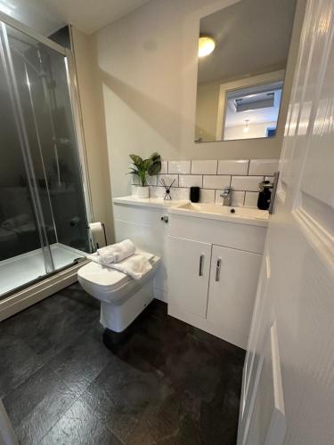 a bathroom with a toilet and a sink and a shower at Maple House by ShortStays4U A beautiful 2Bedroom House with free parking in town centre! in King's Lynn