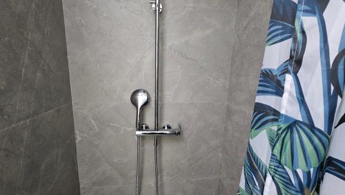 a shower stall with a shower head in a bathroom at Garden Lemon Tree Villa in Tirana