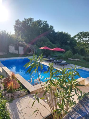 a swimming pool with tables and umbrellas in a yard at La Maison d'ART in Lacour