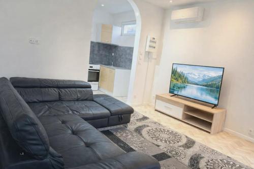Family house or appartement