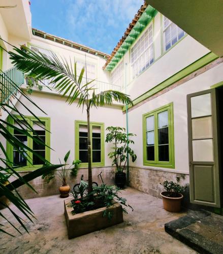 a courtyard of a house with a palm tree at OroCasa7 in La Orotava