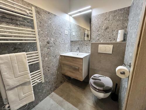 a bathroom with a toilet and a sink and a mirror at Apple & Pear in Ročinj