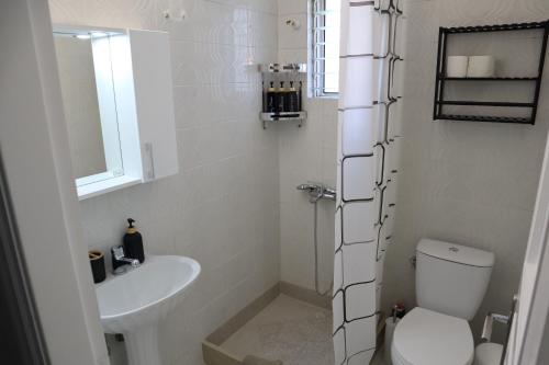 a white bathroom with a toilet and a sink at Galini Home 2 in Prokópion