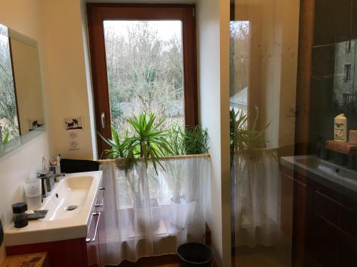 a bathroom with a sink and a window with plants at Maison Nancy Thermal in Nancy