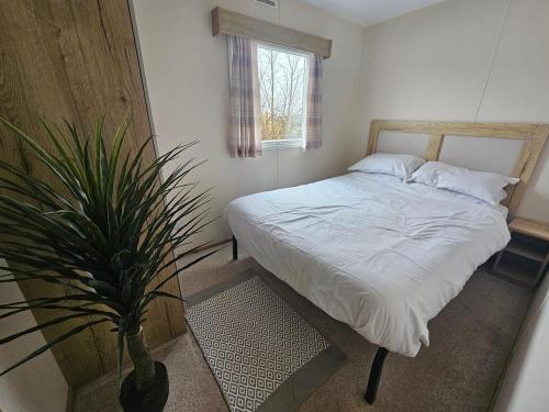 a bedroom with a bed and a potted plant at 3 Bedroom Deluxe Caravan at Haven Devon Cliffs in Exmouth