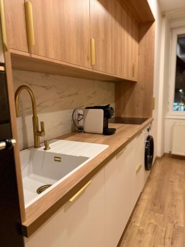a kitchen with a sink and wooden cabinets at La Mandarouseraie in Millau