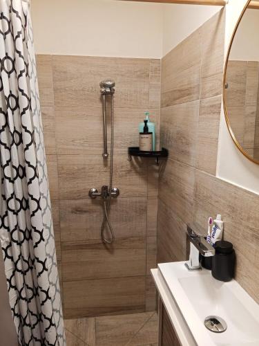 a bathroom with a shower and a sink at chambre Marseille pas lon de saint Charles et vieux port in Marseille