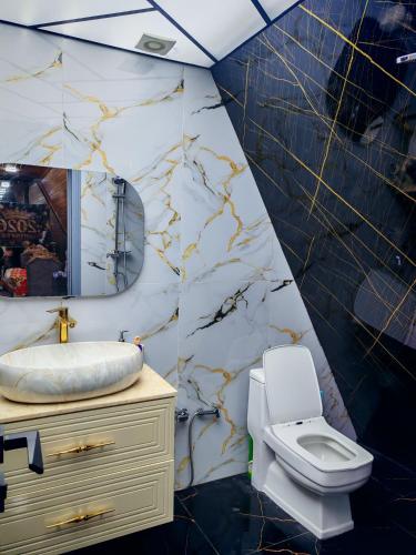 a bathroom with a white toilet and a sink at Emaar Afreem Pastar Qebele in Gabala