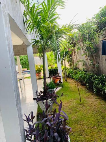Taman di luar TerraNova IMMO