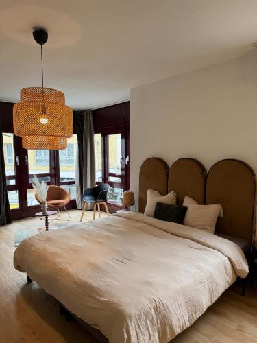 Appartement Hyper-centre de Mulhouse