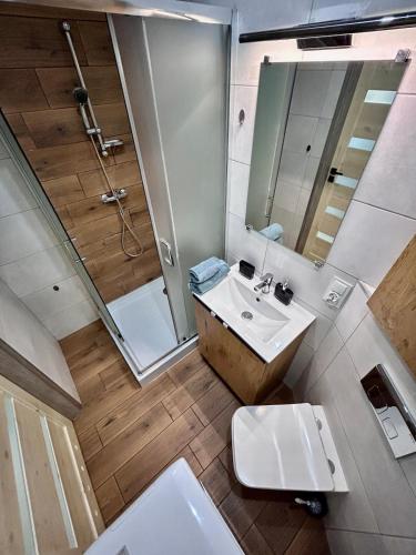 a bathroom with a sink and a shower and a toilet at Chopina Place in Oświęcim
