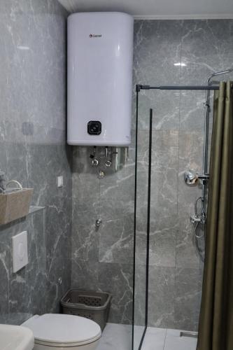 a bathroom with a toilet and a glass shower stall at Avis 2 in Igalo
