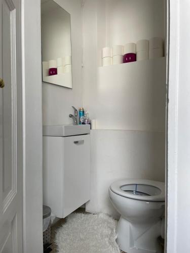 a white bathroom with a toilet and a sink at Wohnung Karl-Marx 1 in Trier
