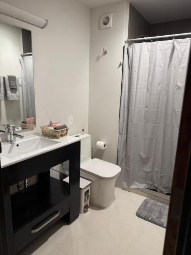 a bathroom with a toilet and a sink and a shower at Luxury loft for 2 to 4 people in Monterrey
