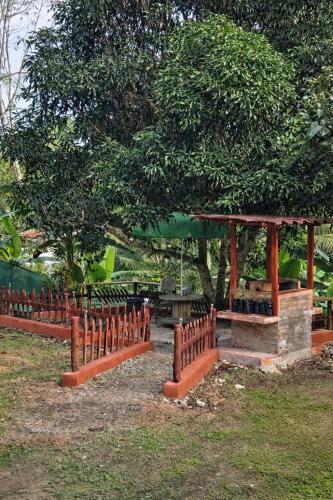 Greenhouse tesisinin dışında bir bahçe