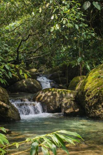 a waterfall in a forest with rocks and trees at Refugio La Tángara del Río in Cocorná