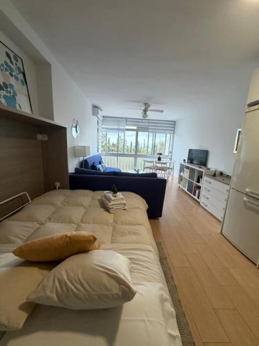 STUDY NEAR MALAGA AND THE BEACH
