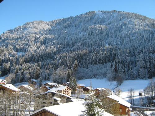 Studio cosy pour 4 personnes avec parking à Châtel