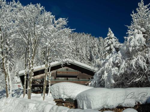 Studio cosy pour 4 personnes avec parking à Châtel