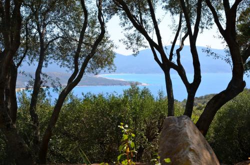 a view of a body of water through trees at Vigna Maggiore in Olmeto
