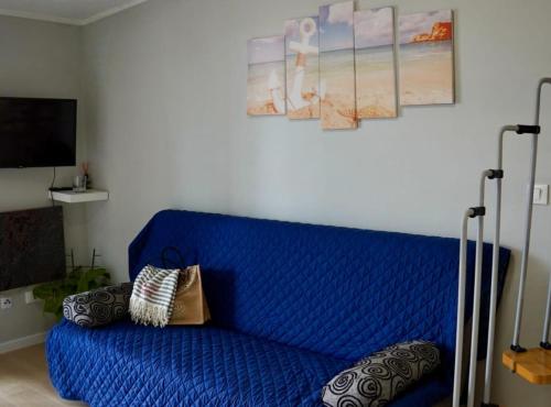 Ivo Apartments Rovinj Istria