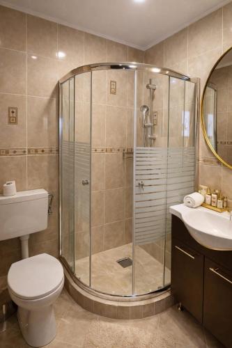 a bathroom with a shower and a toilet and a sink at Pensiunea Clasic in Buşteni