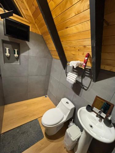 a bathroom with a toilet and a sink at Brisas De Los Santos Lodge 1 in Sierra