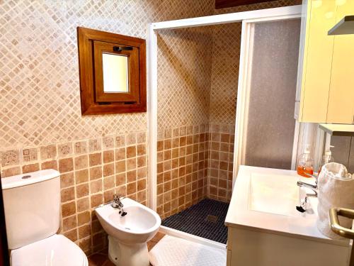 a bathroom with a shower and a toilet and a sink at RAPIA Casa Beig 5 in Moratalla