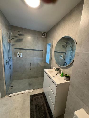 a bathroom with a shower and a sink and a mirror at Bayview Apartment in Timaru