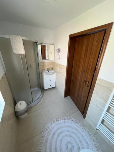 a bathroom with a shower and a sink and a door at Cazare Luxandra in Borşa