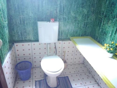 a bathroom with a white toilet and a sink at Salote homestay in Lautoka