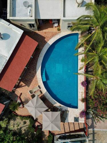 an overhead view of a swimming pool with umbrellas at Casa Bella Brisa in Puerto Escondido
